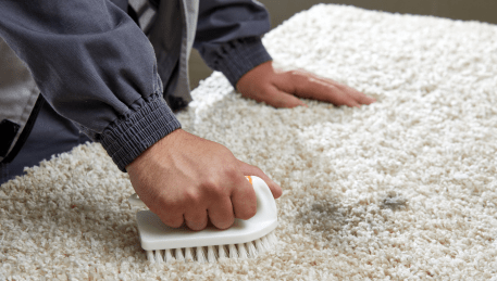 Professional Rug Cleaning Yering